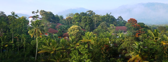 The Elephant Court - Thekkady 01.jpg